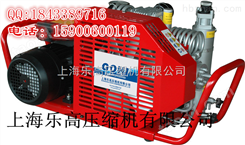 高压充气泵【15900600119】【上海乐高压缩机】