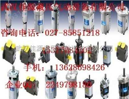 PFE-42056/3DU 20 ATOS阿托斯叶片泵