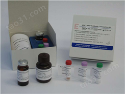 大鼠低密度脂蛋白免疫复合物〖LDL-IC〗elisa试剂盒