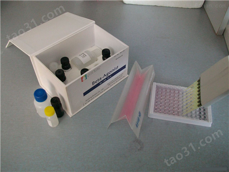 槐凝集素（SJA）ELISA试剂盒
