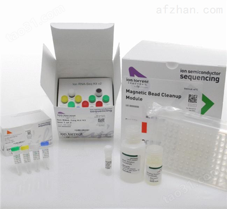 小鼠新生甲状腺素（NN-T4）ELISA试剂盒