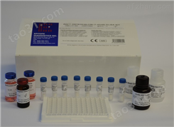 兔血管内皮生长因子121（VEGF121）ELISA试剂盒