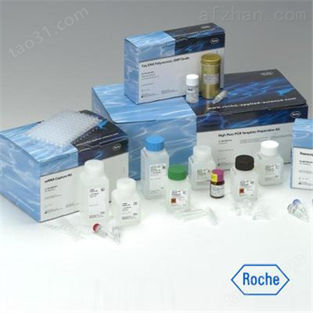 豚鼠白蛋白（ALB）ELISA试剂盒