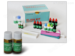 兔血管紧张素Ⅱ（ANGⅡ）ELISA试剂盒