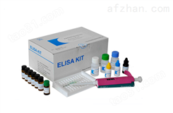 人丙酮酸激酶M2型同工酶（M2-PK）ELISA试剂盒
