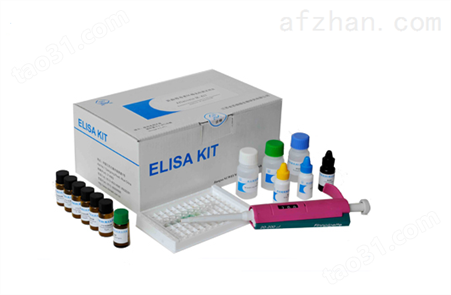 人内皮素1（ET-1）ELISA试剂盒